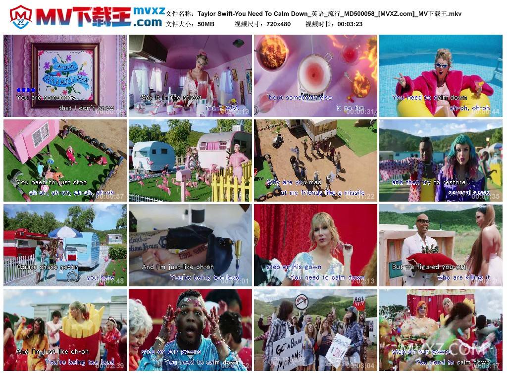 Taylor Swift-You Need To Calm Down_英语_流行_MD500058